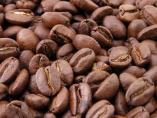 Peruvian Gourmet Coffee