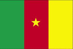 Cameroon Flag