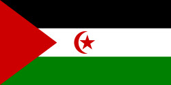 Western Sahara Flag