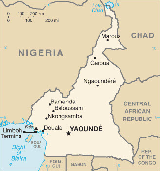 Cameroon Basic Map