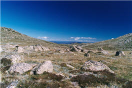 What Is The Highest Point In Australia