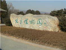 Gardens At The Bejing Olympics